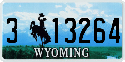 WY license plate 313264