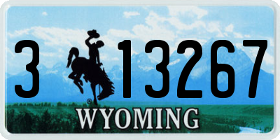WY license plate 313267
