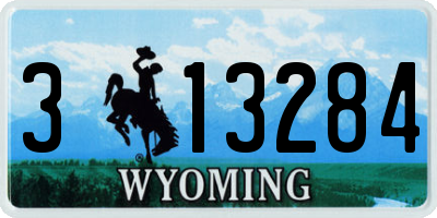 WY license plate 313284
