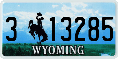 WY license plate 313285