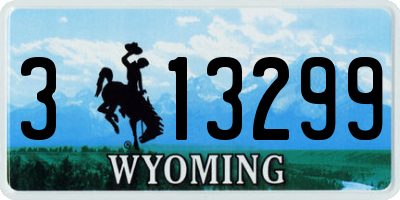 WY license plate 313299