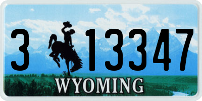 WY license plate 313347