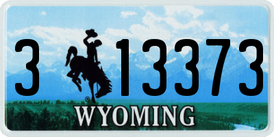 WY license plate 313373
