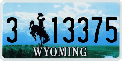 WY license plate 313375
