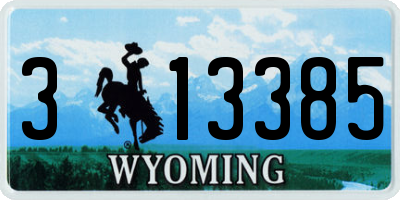 WY license plate 313385