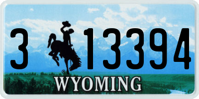 WY license plate 313394