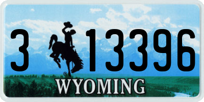 WY license plate 313396