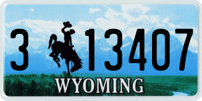 WY license plate 313407
