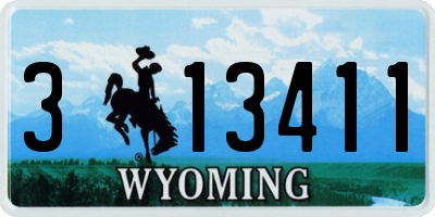 WY license plate 313411