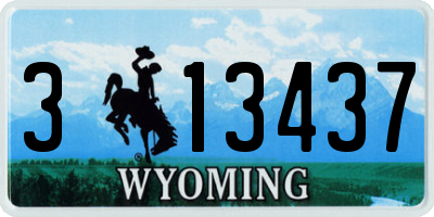 WY license plate 313437