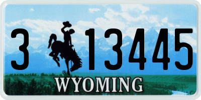 WY license plate 313445