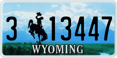 WY license plate 313447