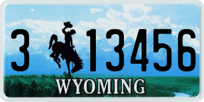 WY license plate 313456