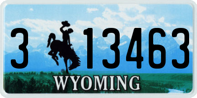 WY license plate 313463