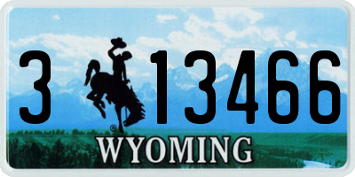 WY license plate 313466