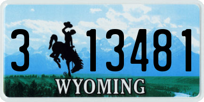 WY license plate 313481