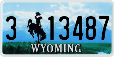 WY license plate 313487