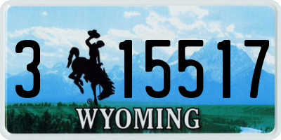 WY license plate 315517