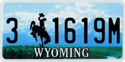 WY license plate 31619M