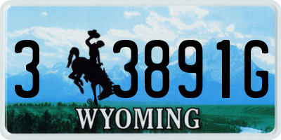 WY license plate 33891G