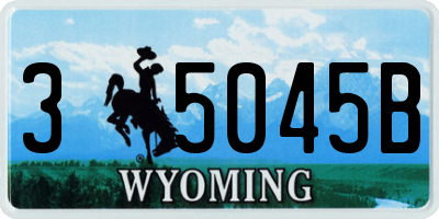 WY license plate 35045B
