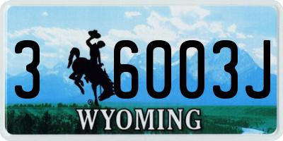 WY license plate 36003J