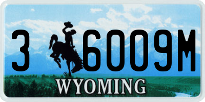 WY license plate 36009M