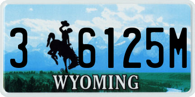 WY license plate 36125M