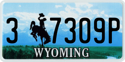 WY license plate 37309P
