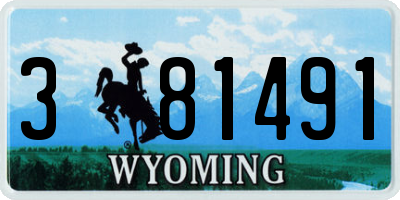 WY license plate 381491