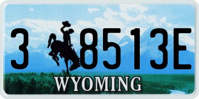 WY license plate 38513E
