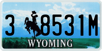 WY license plate 38531M