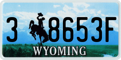 WY license plate 38653F