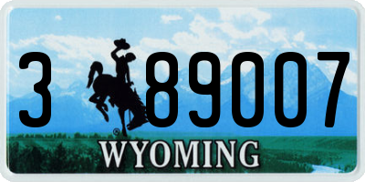 WY license plate 389007
