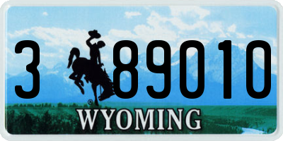 WY license plate 389010
