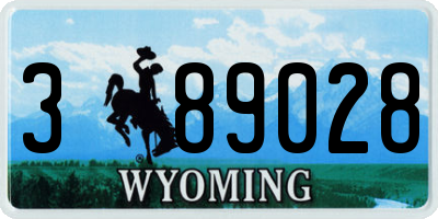 WY license plate 389028