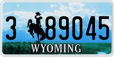 WY license plate 389045