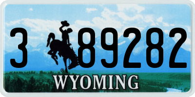 WY license plate 389282