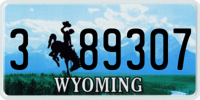WY license plate 389307