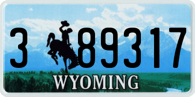 WY license plate 389317