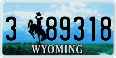WY license plate 389318