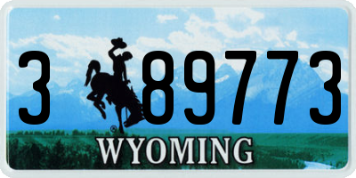 WY license plate 389773
