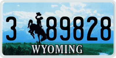 WY license plate 389828