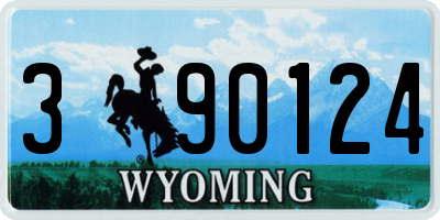 WY license plate 390124