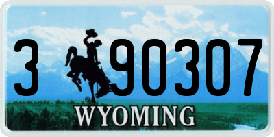 WY license plate 390307