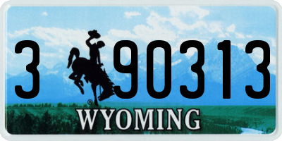 WY license plate 390313