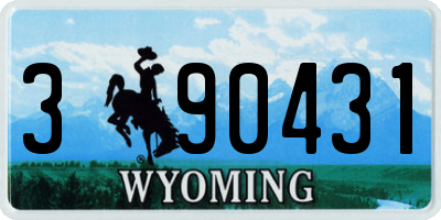 WY license plate 390431