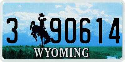 WY license plate 390614
