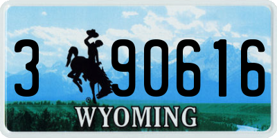 WY license plate 390616