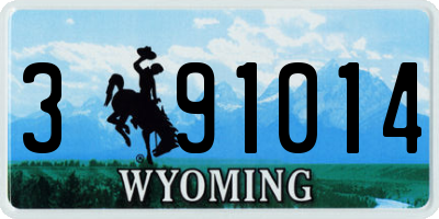 WY license plate 391014